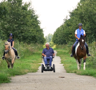 Scootmobiel met paarden